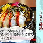 Premium Toji